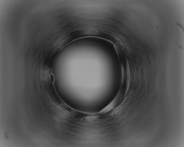 X0000093770172200710161249