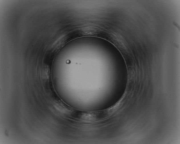 X0000093770174200710161249