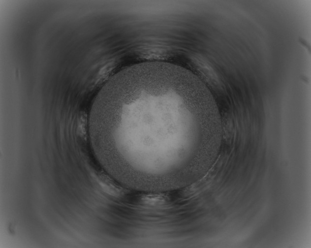 X0000093770175200710161249