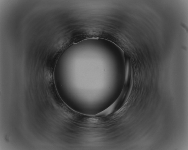 X0000093770176200710161249