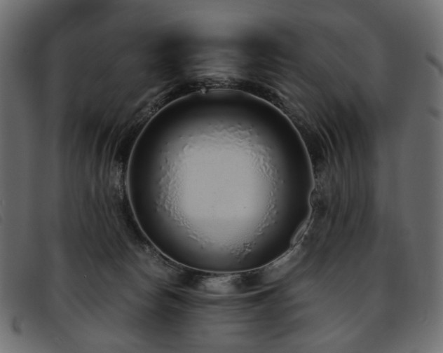 X0000093770178200710161249