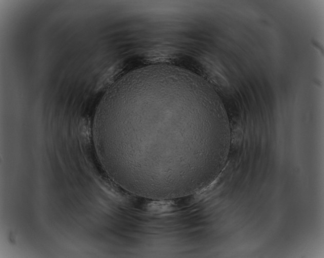 X0000093770179200710161249