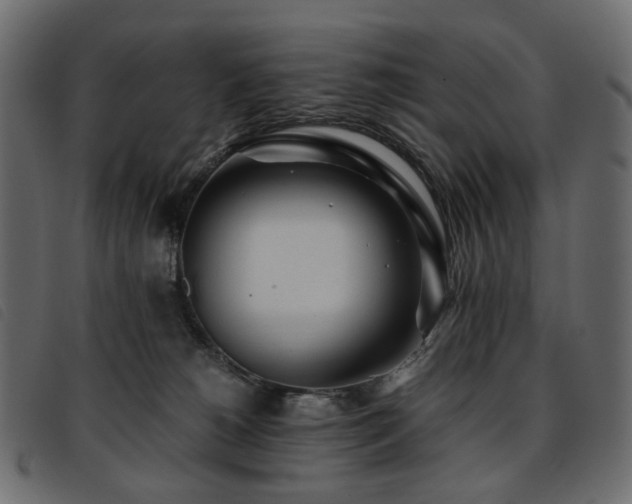 X0000093770180200710161249