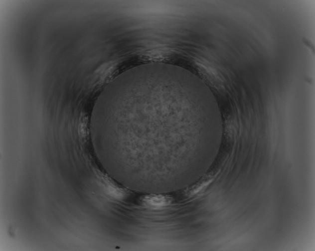 X0000093770181200710161249