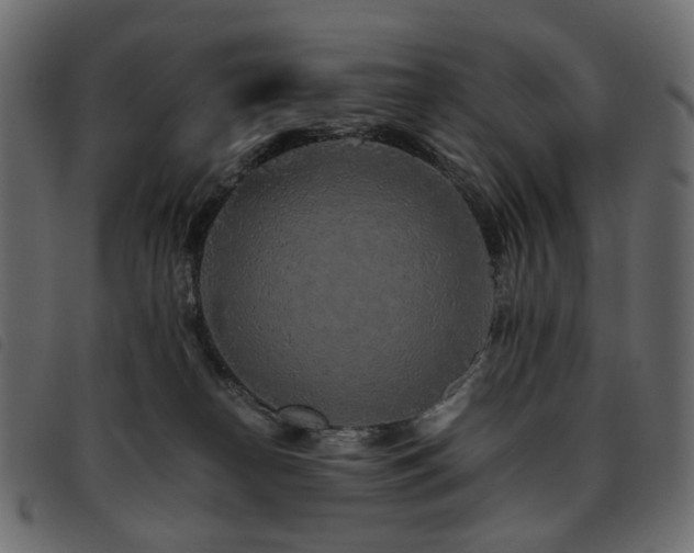 X0000093770182200710161249