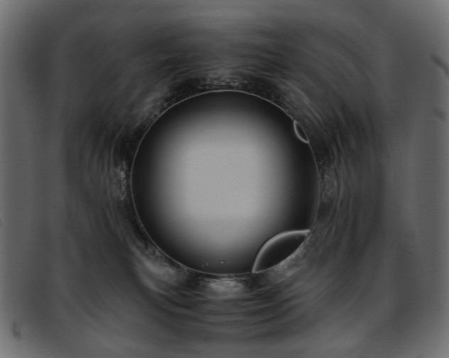 X0000093770183200710161249