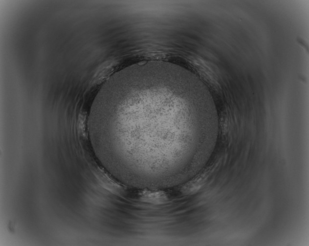 X0000093770185200710161249