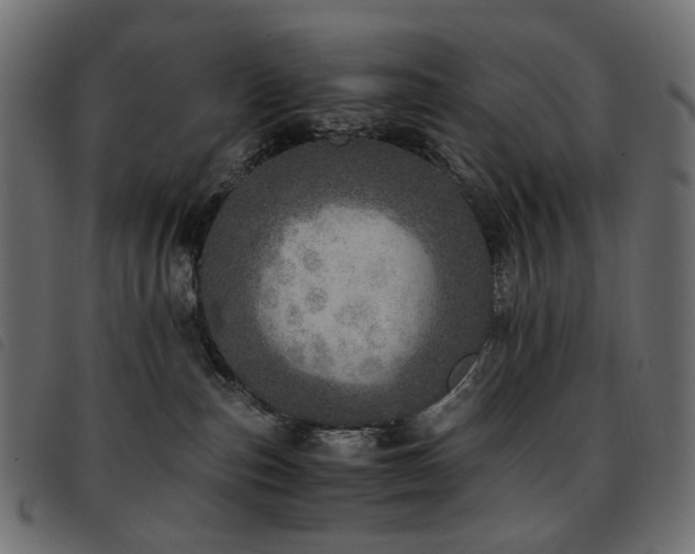 X0000093770187200710161249