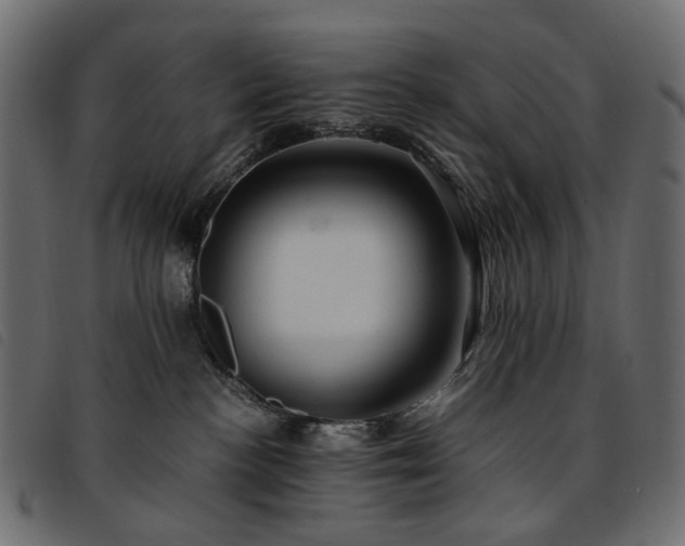 X0000093770188200710161249