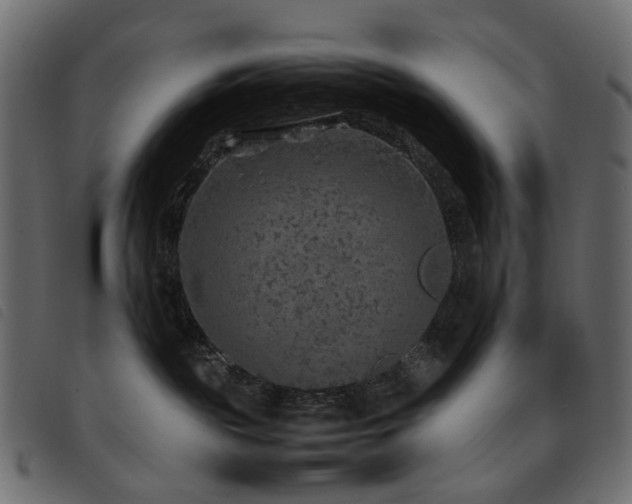 X0000093770189200710161249