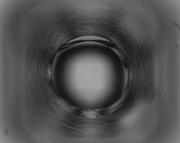 X0000093770190200710161249