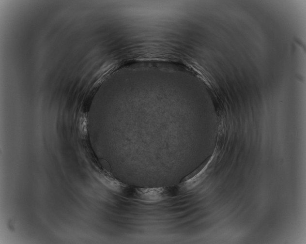 X0000093770191200710161249