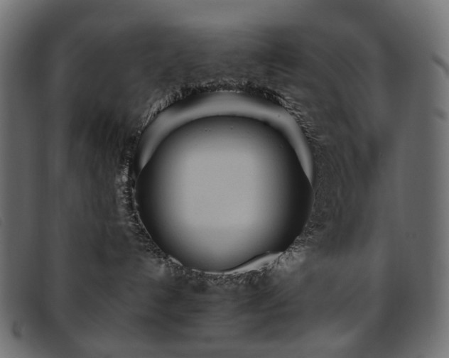 X0000093770192200710161249