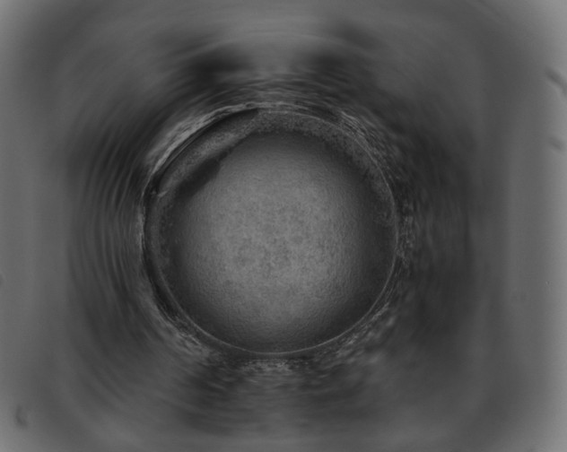 X0000093770194200710161248