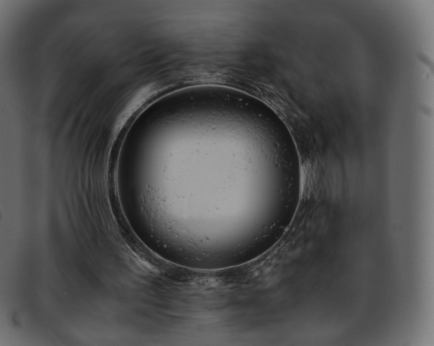 X0000093770195200710161248