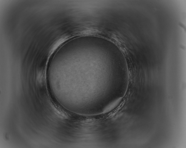 X0000093770196200710161248