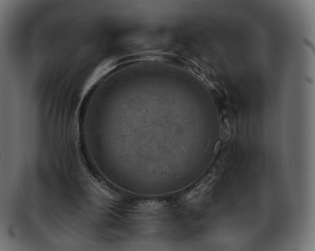 X0000093770198200710161248