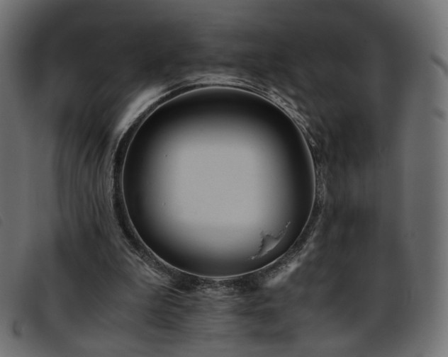 X0000093770199200710161248