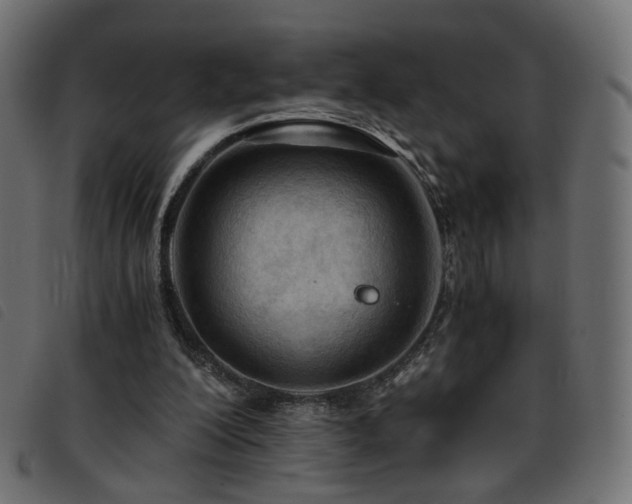 X0000093770200200710161248