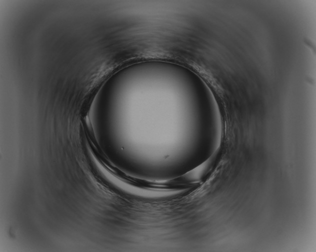 X0000093770201200710161248