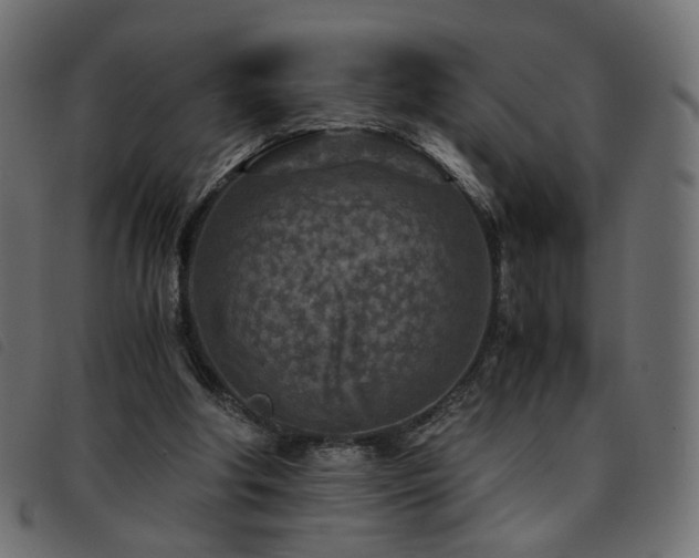 X0000093770202200710161248