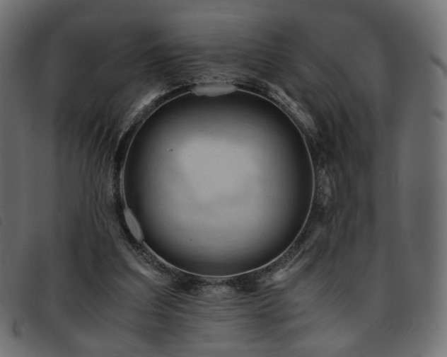 X0000093770203200710161248