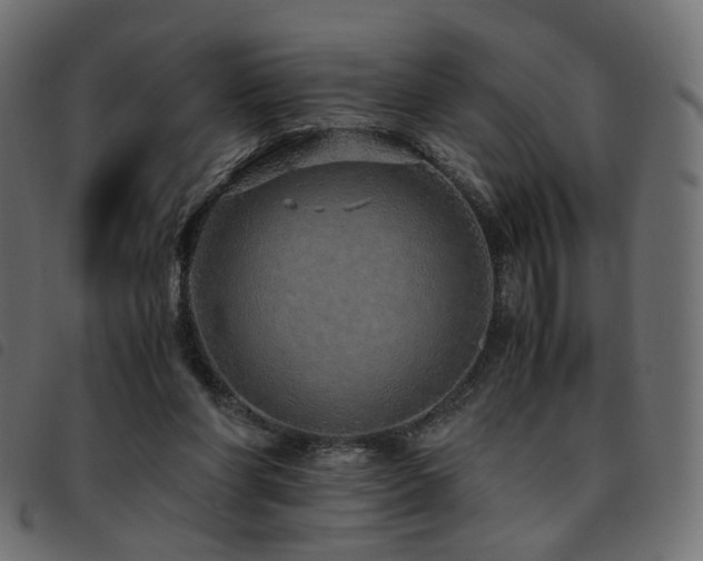 X0000093770206200710161248