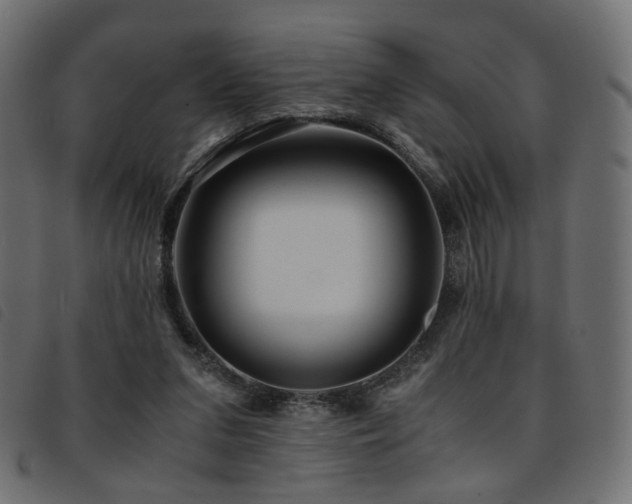 X0000093770207200710161248