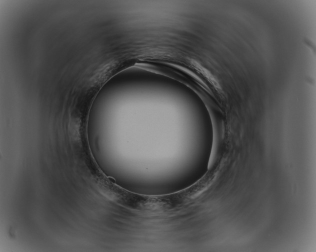 X0000093770209200710161248