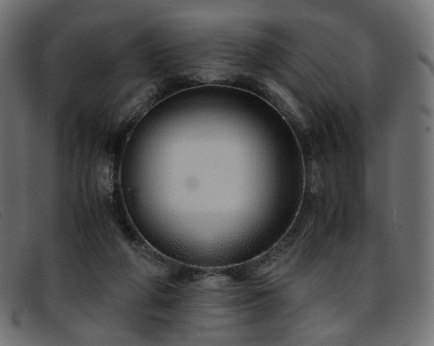 X0000093770210200710161248