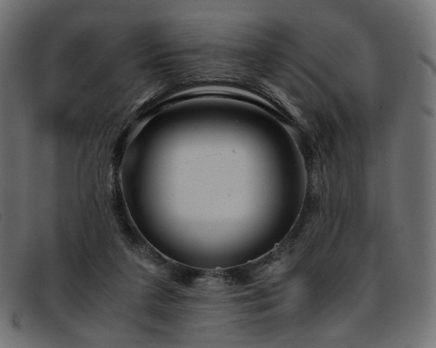 X0000093770211200710161248