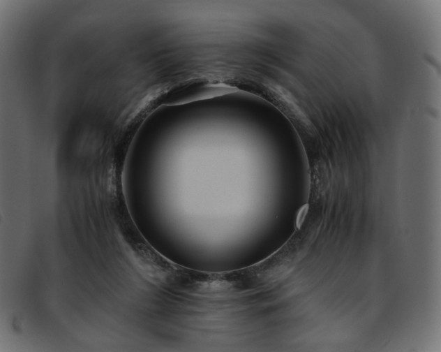 X0000093770212200710161248