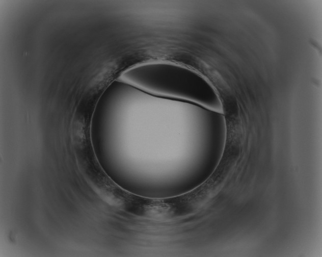 X0000093770215200710161248