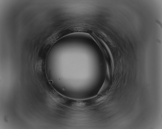 X0000093770217200710161248