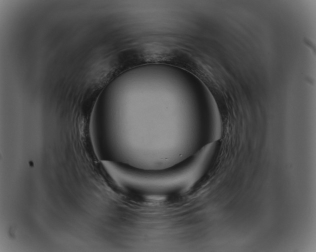 X0000093770219200710161248