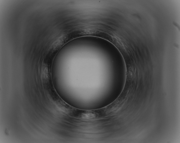 X0000093770220200710161248