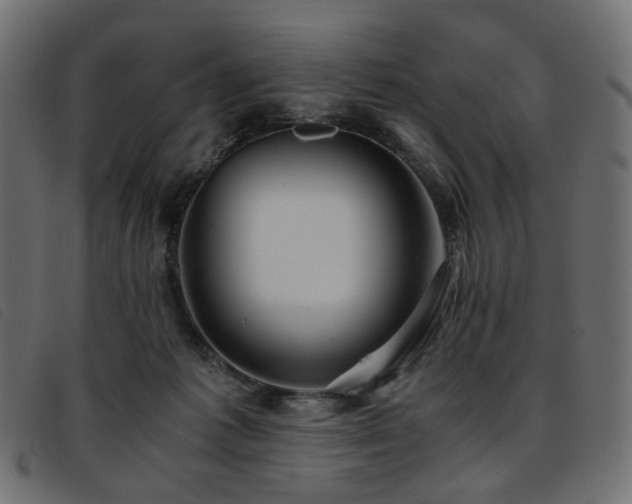 X0000093770221200710161248