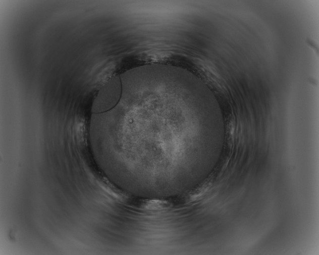 X0000093770222200710161248