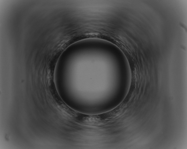 X0000093770223200710161248
