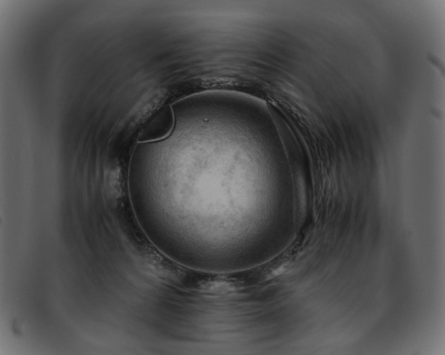 X0000093770224200710161248