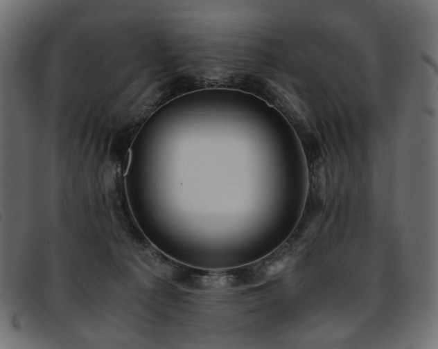 X0000093770225200710161248