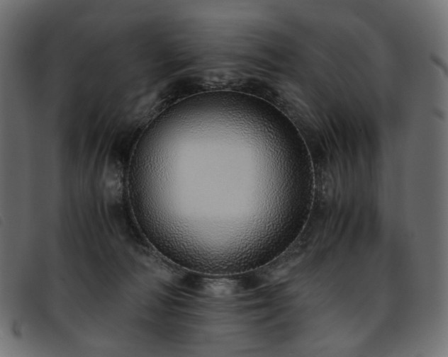 X0000093770226200710161248