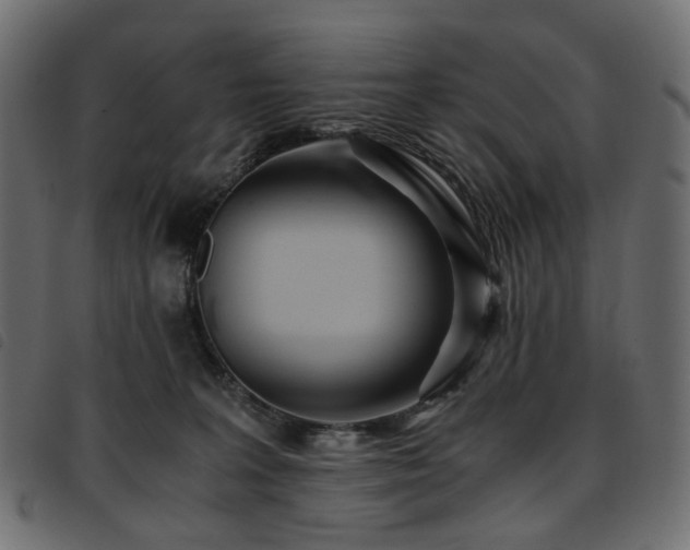 X0000093770227200710161248