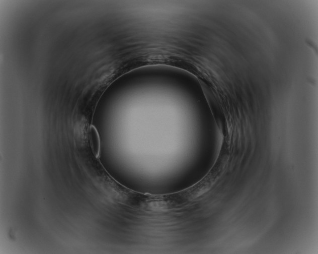X0000093770228200710161248