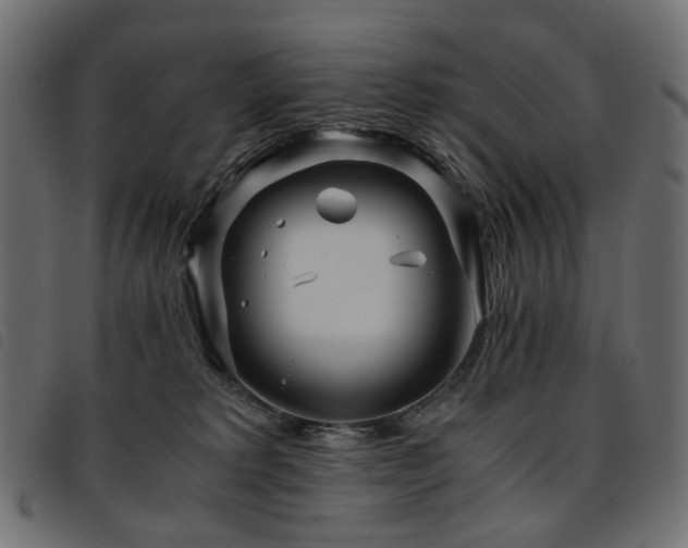 X0000093770229200710161248