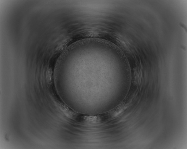 X0000093770230200710161248