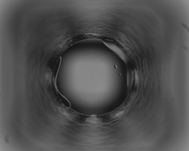 X0000093770231200710161248