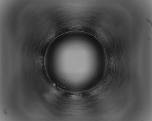 X0000093770232200710161248