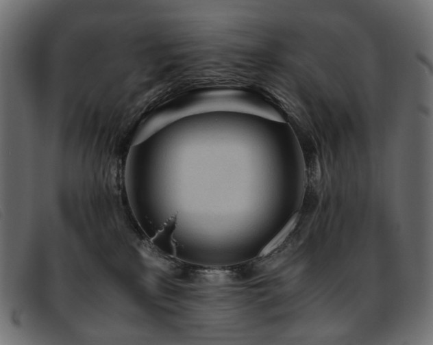 X0000093770233200710161248