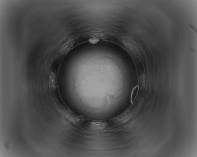 X0000093770234200710161248
